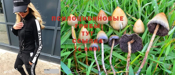 тгк Белокуриха