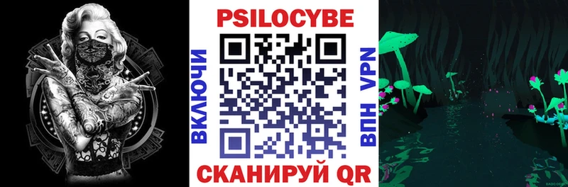 Псилоцибиновые грибы MAGIC MUSHROOMS  где купить наркоту  Мариинский Посад 