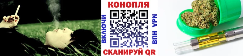 продажа наркотиков  Мариинский Посад  Канабис SATIVA & INDICA 
